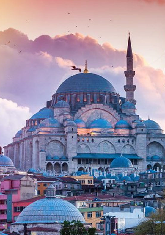 Estambul555x790 Estambul555x790